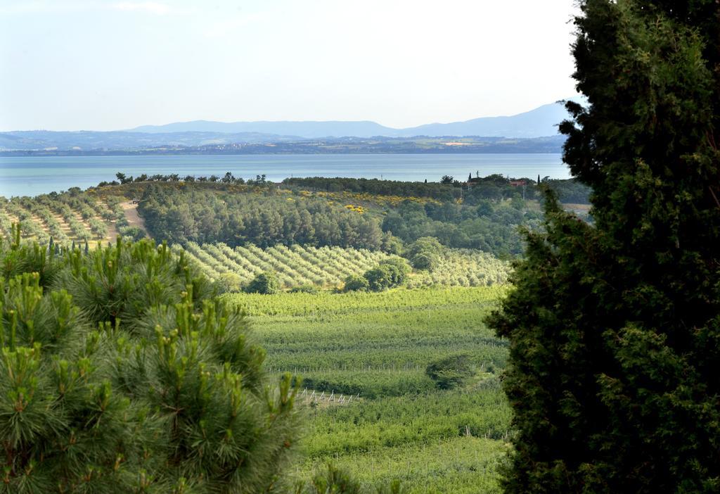 Agriturismo San Severo Villa Passignano sul Trasimeno Exterior foto